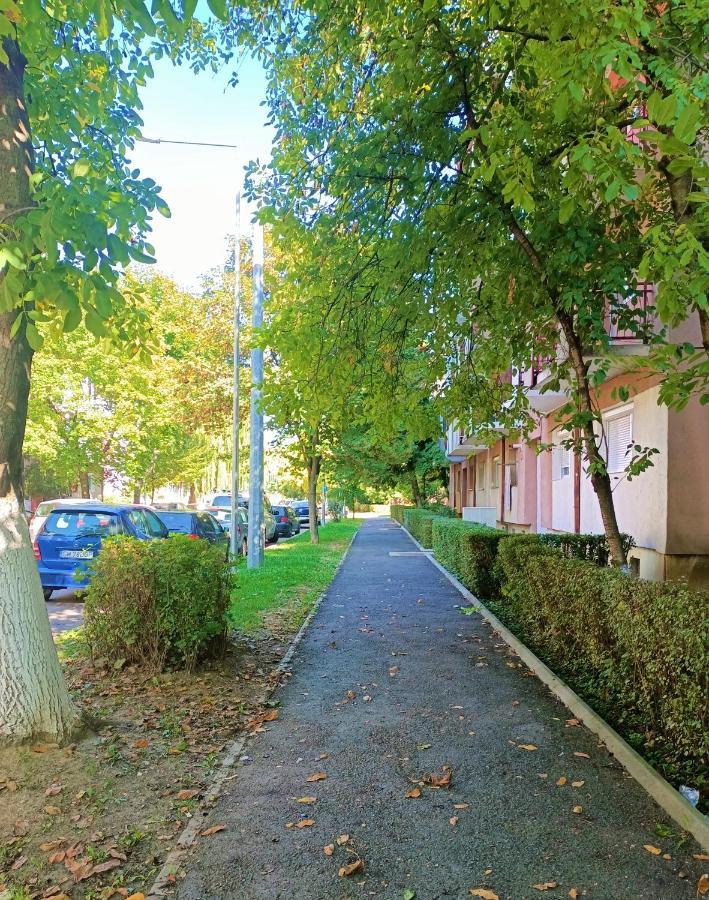 Caserom Studio Σάτου Μάρε Εξωτερικό φωτογραφία